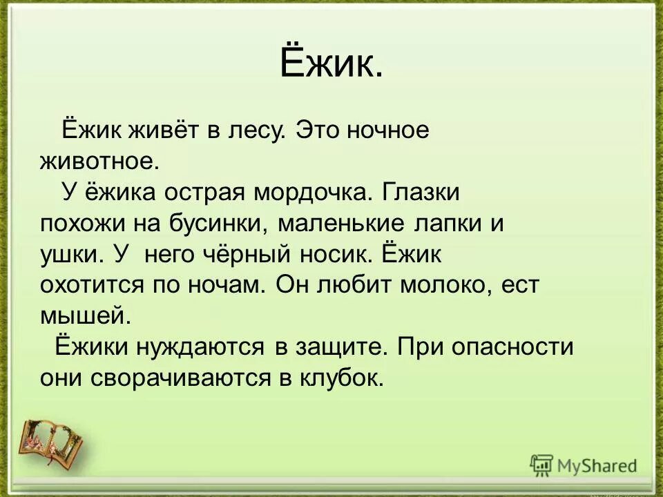 Сочинение о животных 2 класс. Сочинение про ежика. рассказ про ежика 2 класс. маленький рассказ описание. рассказ про ежа второй класс.