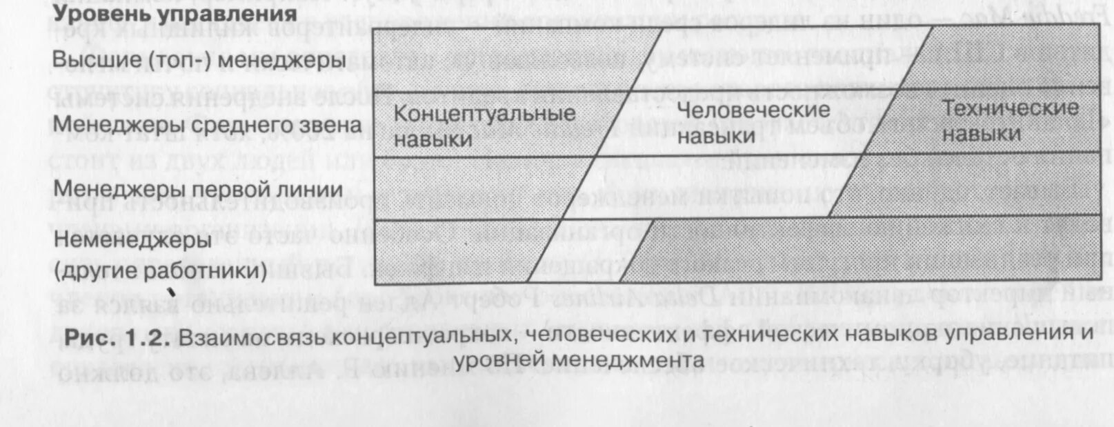 Концептуальные навыки. Концептуальные навыки. Концептуальные способности. Концептуальные навыки. Знания умения и навыки менеджера.