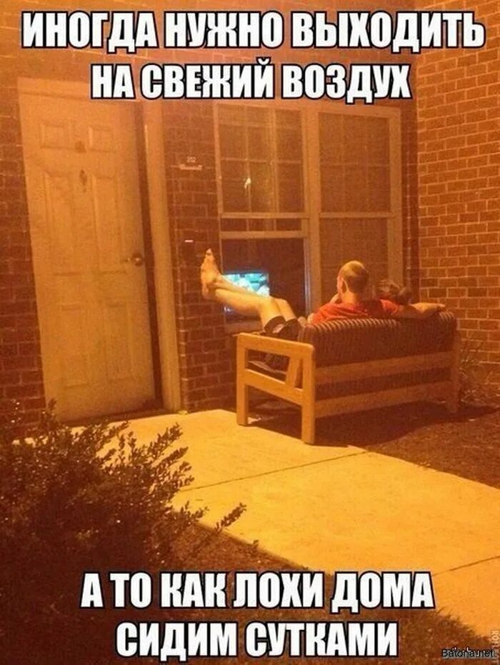 Котоматрица ладушки ладушки. Сидим дома. Художница аманда олеандр. Девушка в квартире. Юмористические иллюстрации.