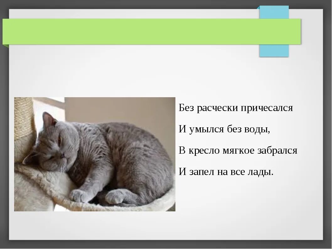 Загадки о дом животных. Загадки о дом животных