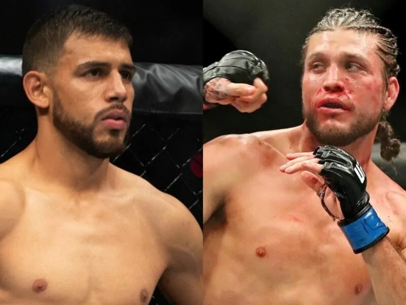 Яир родригес. Yair rodriguez. Яир родригес. Родригес мма. Яир родригес.