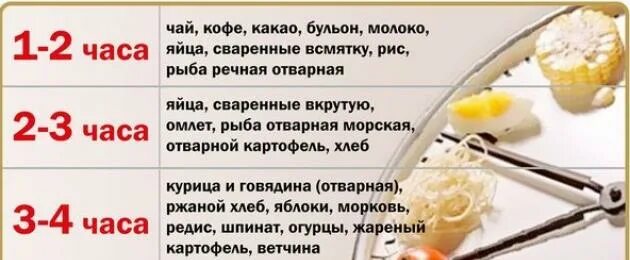 Продукты которые долго перевариваются. Сколько времени переваривается хлеб в желудке. За сколько минут еда переваривается в желудке. Сколько переваривается яйцо вареное. Сколько переваривается мороженое