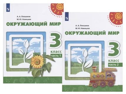 Плешаков м ю новицкая 3 класс