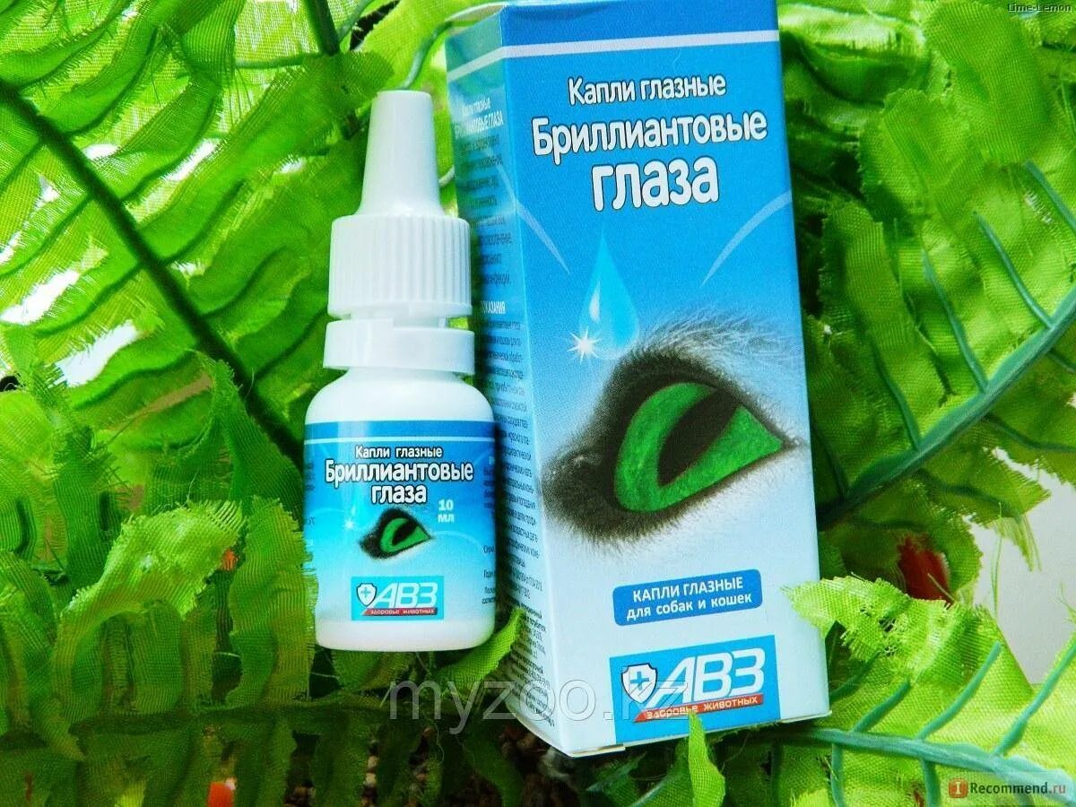 Глазные капли для животных. Бриллиантовые глаза глазн.капли 10мл. глазные капли для собак бриллиантовые глаза. капли глазные авз бриллиантовые глаза для собак и кошек. глазные капли бриллиантовые глаза для кошек.