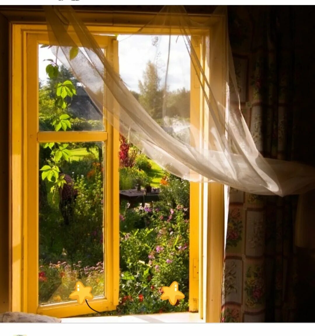 На какую сторону солнечные окна. Открытое окно. Занавески на окна. Окно в лето. Окно с видом на природу.