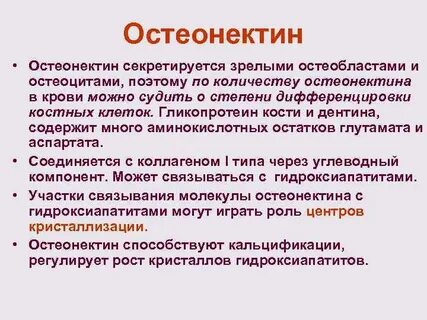 Белок костной ткани