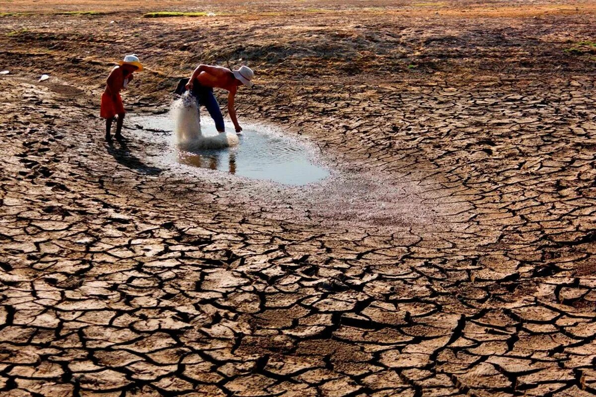 Дефицит воды. Дефицит пресной воды. Засуха это стихийное бедствие. Вода и засуха.