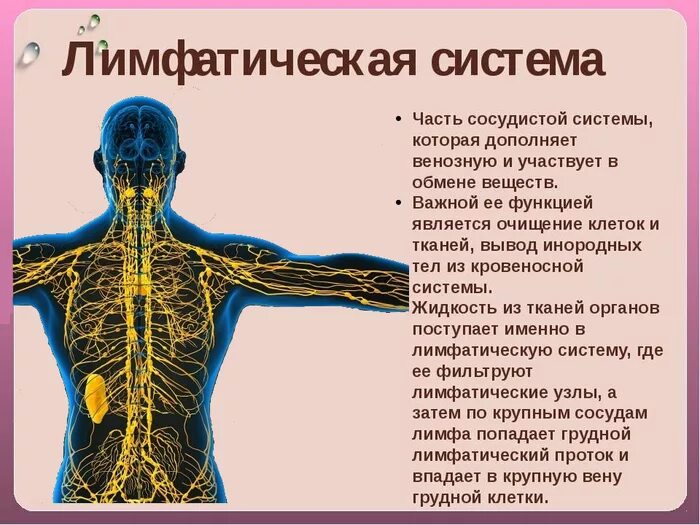 Как лечить лимфу
