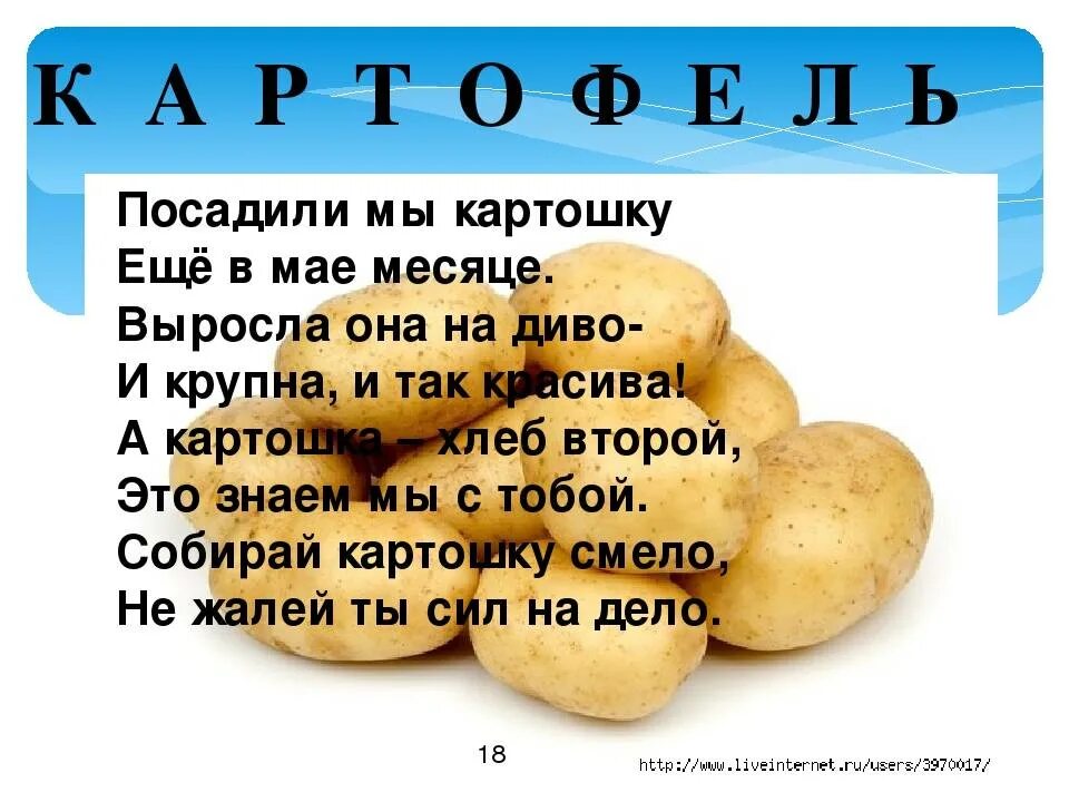 Стих про картошку. Загадка про картофель. Стих про картофель. Стихи про картофель для детей. Включи про картошку