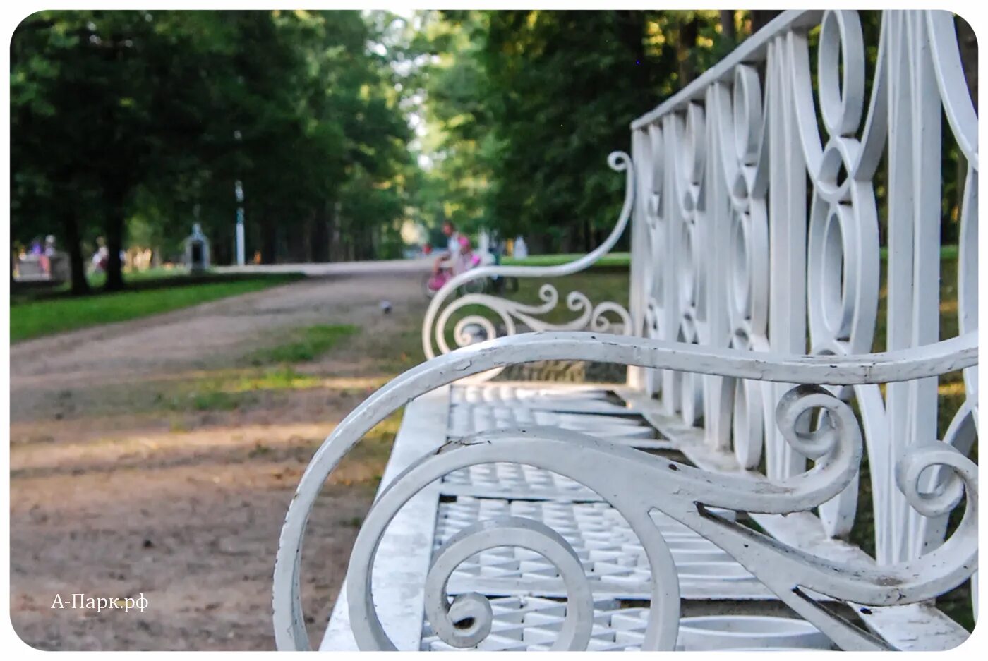 г пушкин леонтьевская улица. скамейки царского села. александровский парк царское село зимой. камеры города пушкина. пушкин маршрут прогулки.