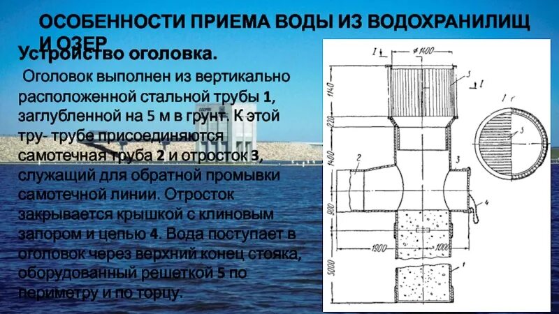 Состоят из вертикально расположенных