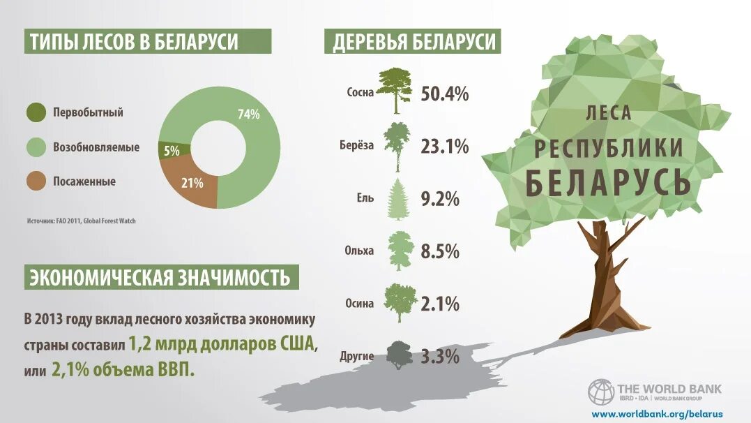 В каких странах есть леса. Процент леса в Беларуси. Инфографика в виде дерева. Инфографика леса. Процент леса на земле.