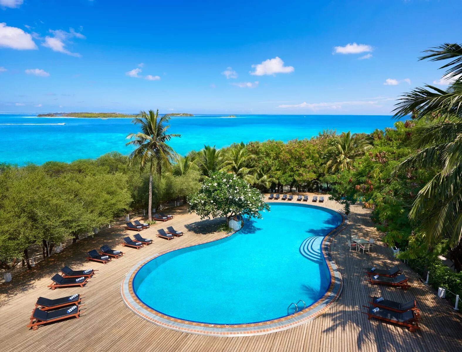 Мальдивы cinnamon dhonveli. Отель cinnamon dhonveli maldives. отель cinnamon dhonveli maldives 4. cinnamon dhonveli maldives (ex. chaaya island dhonveli) 4*. синамун отель мальдивы.