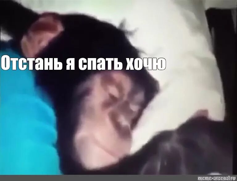 Время кошмара отвали у меня нет настроение
