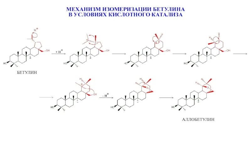 Бетулиновая кислота