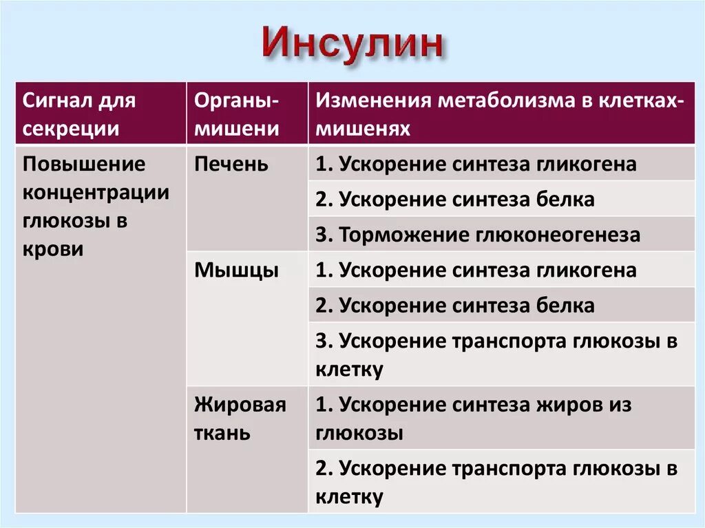 Клетки органы мишени. Клетки мишени инсулина биохимия. Основные органы мишени инсулина. Инсулин клетки мишени органы. Ткани мишени инсулина.