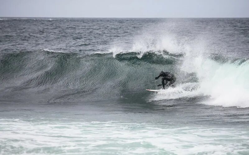 тихий океан волны цунами. волны два метра. самые большие волны в мире. 100 метровая волна. акула в волне.
