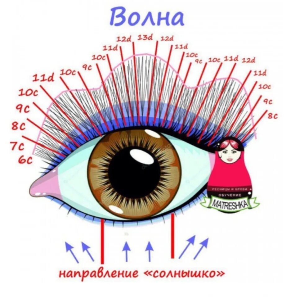 Наращивание ресниц схемы. Эффект Ким Кардашьян схема наращивания. Схемы наращивания ресниц эффекты с разметкой. Лисий эффект наращивания ресниц схема. Наращивание ресниц Лисий эффект схема наращивания.