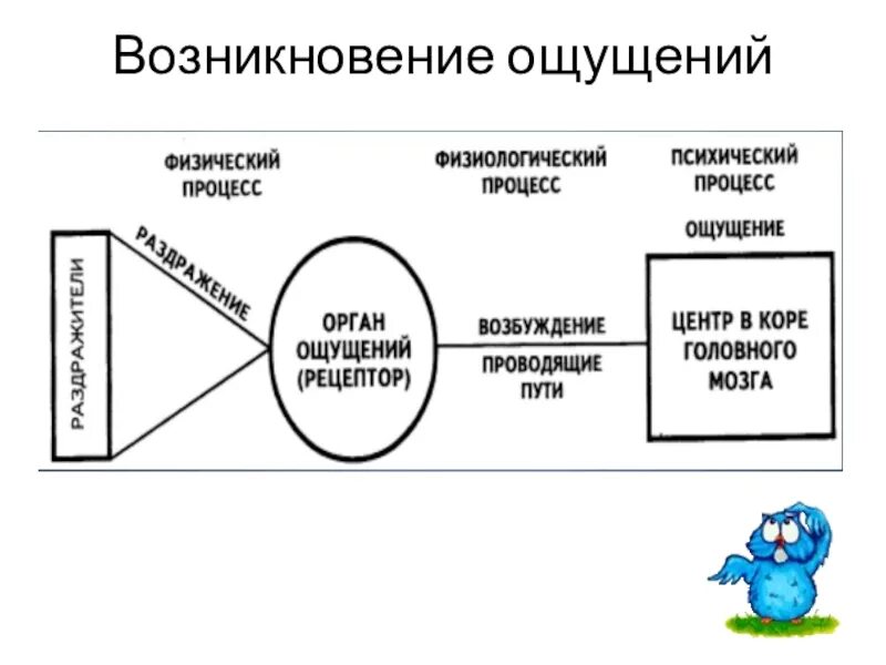 Ощущение передача