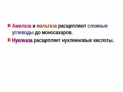 Ферменты слюны расщепляют