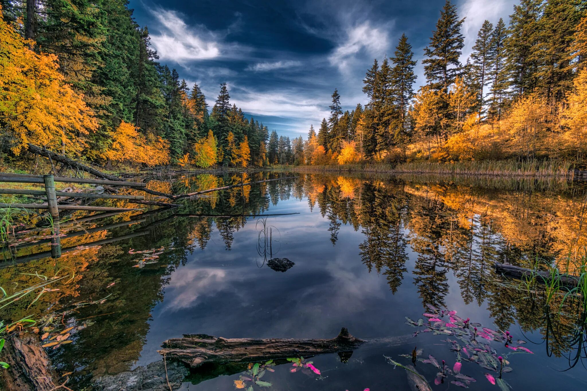 Зеркальное изображение. Зеркальное озеро осень. Лес отражение. Отражение фото. Отражение в формате jpg.