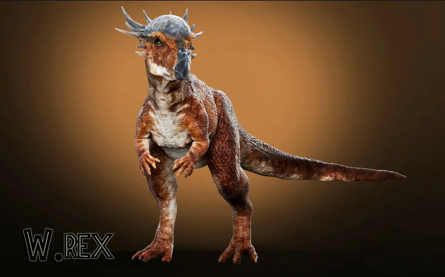 W rex