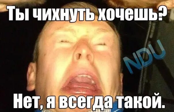 Чихнуть три раза. Ты чихнуть хочешь нет я всегда такой. когда хочешь чихнуть мем. лицо когда хочешь чихнуть. вы хотите чихнуть нет я всегда такая.