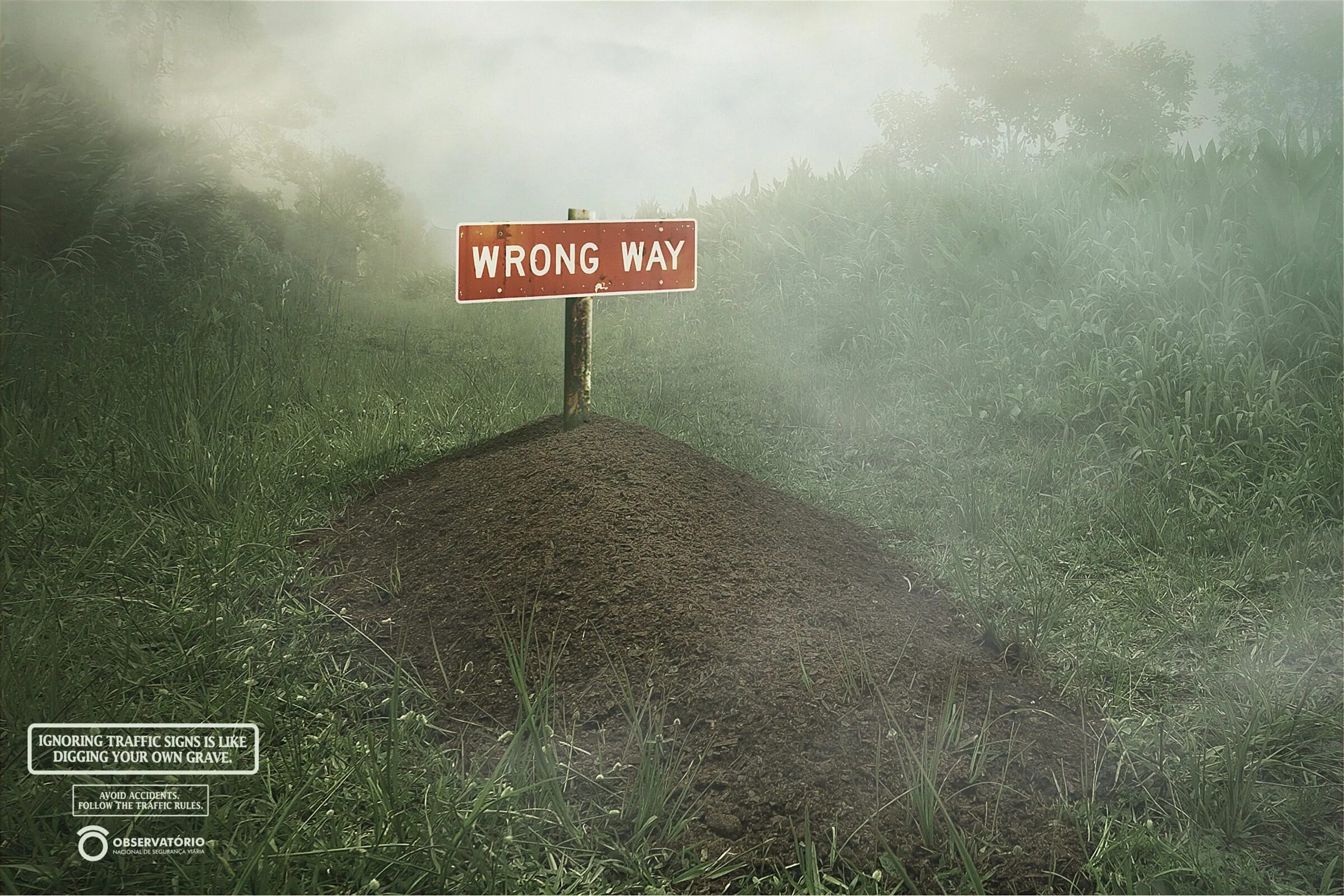 Wrong way. Wrong way знак. Креативная реклама дорожное движение. Дорожные знаки креатив. The world is wrong