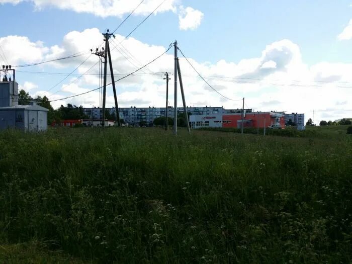 Погода в оржицах ломоносовского. Деревня Оржицы Ломоносовский район. Усадьба Оржицы. Оржицы Ленинградская область на карте. Оржицкое сельское поселение, д. Оржицы, 5.