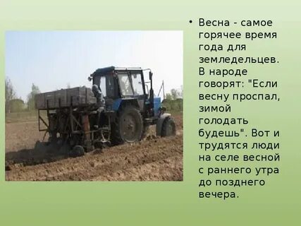 Труд людей родного края презентация
