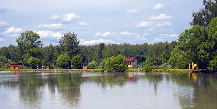 Пруды Софрино парк. Софрино парк отель рыбалка. Клиниковский пруд Софрино. Платная рыбалка в Софрино Могильцы. Клевая усадьба рыбалка