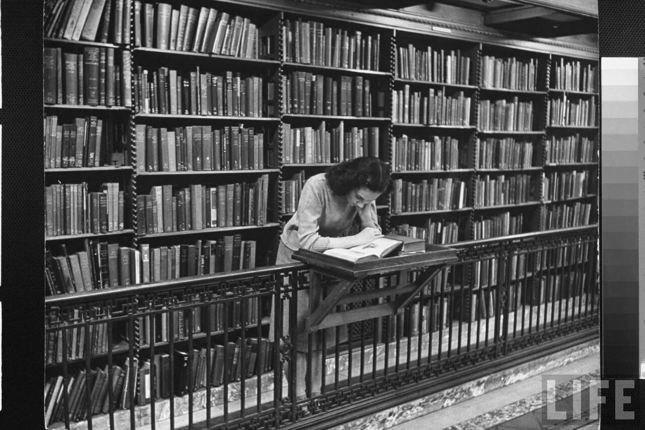 Е ридинг библиотека. Женщина в библиотеке. Чтение книг. Книга библиотека. Мужчина в библиотеке.