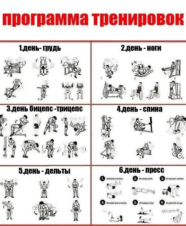 Расписание в тренажерный зал мужчине. Тренировочный план в тренажерном зале для мужчин для набора массы. Схема тренировок в тренажерном зале для мужчин 3. План тренировок для набора мышечной массы. Расписание в тренажерный зал мужчине.