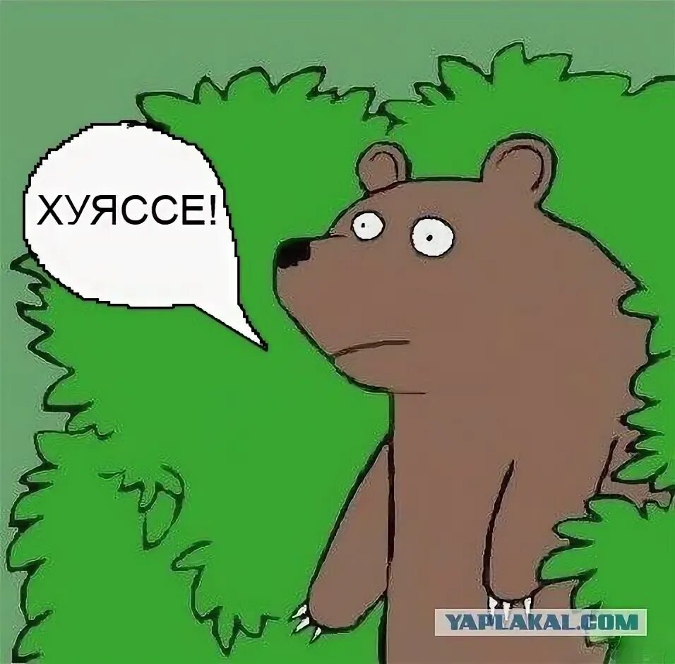 Медведь ругается. Медведь мем. медведь кричит. медведь из кустов. медведь из кустов мем.