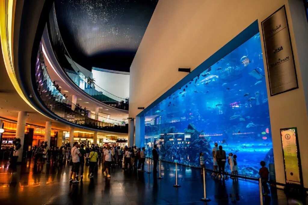 трц dubai mall. дубай торговый центр дубай молл аквариум. аквариум "dubai mall" (оаэ, дубай). торговый центр berjaya times square – куала-лумпур, малайзия. дубай молл площадь.