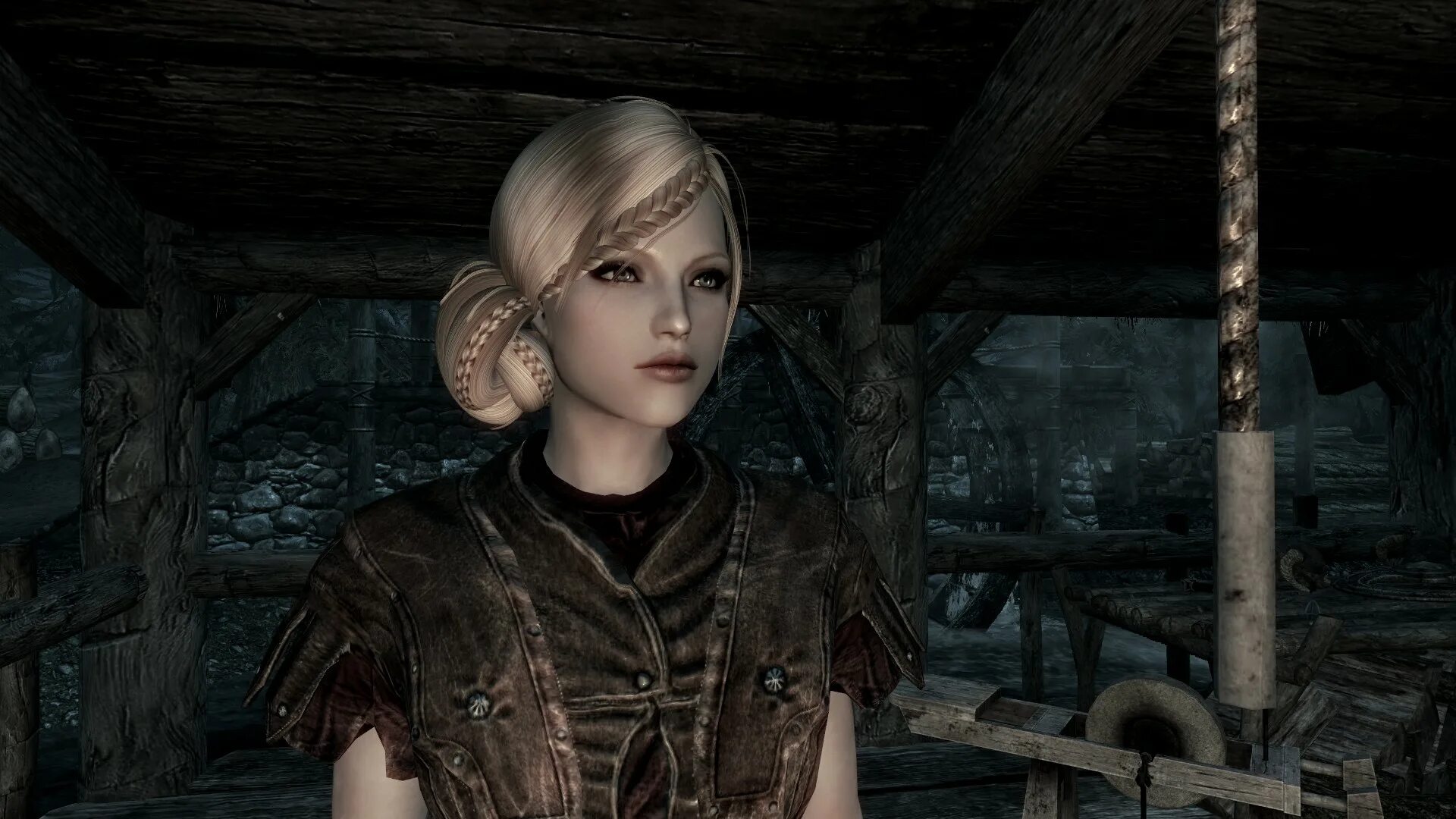 Скайрим моды компаньоны мужчины. Скайрим мод компаньон наемник. Компаньон елена скайрим. Dragon age origins воин. Эвелин спутница скайрим.