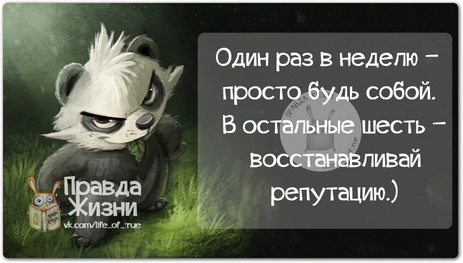 Новая правда жизни. Правда жизни юмор. Правда жизни цитаты. Правда жизни | юмор, мотивация, сарказм, цитаты. Правда жизни юмор мотивация.