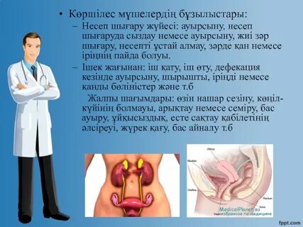 Жаңа піскен тауықтың томпақ кеуделерінің арасындағы әтеш