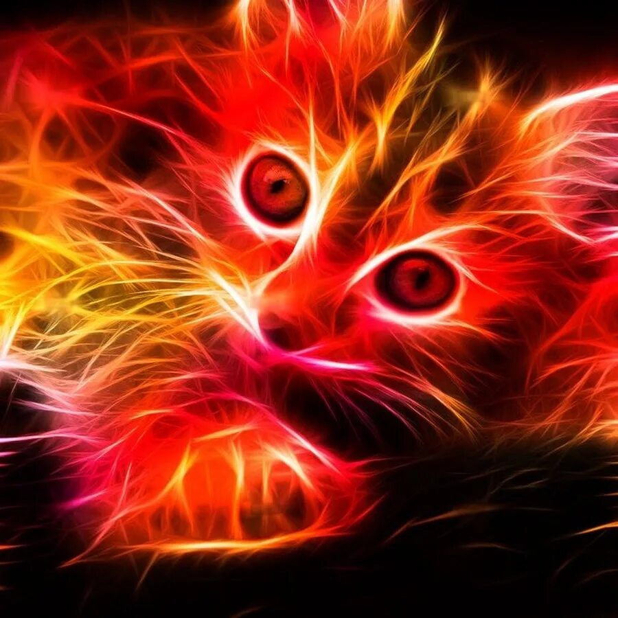 3 д котики