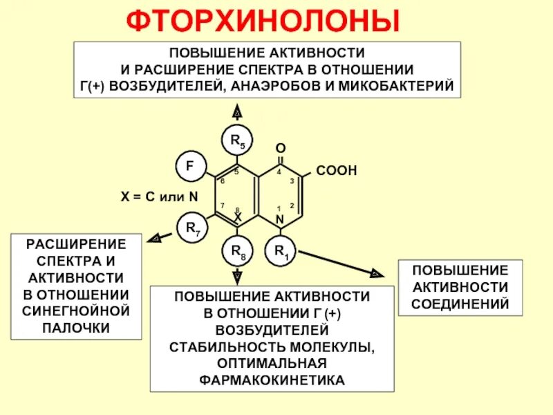 Пенициллин фторхинолоны