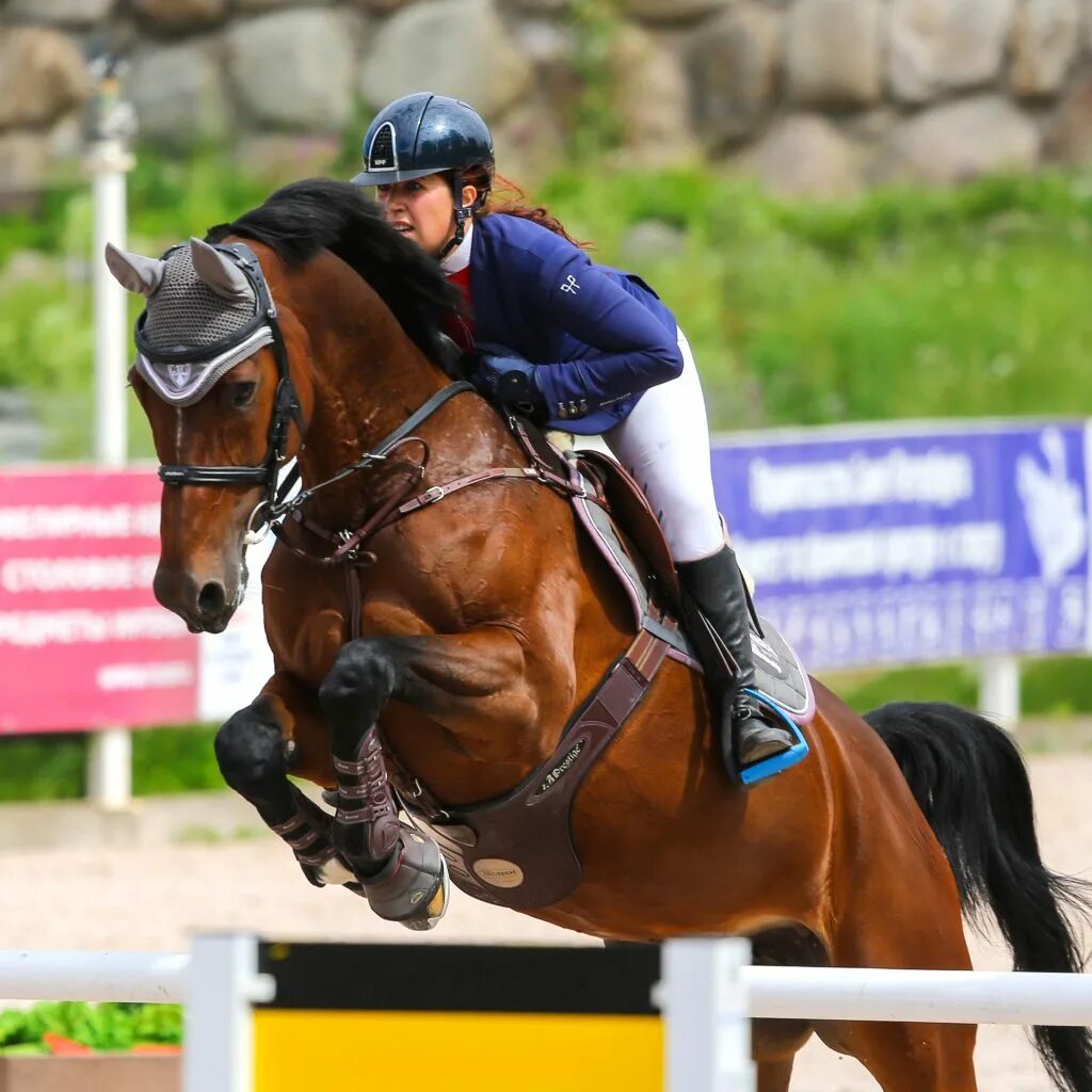 Конные соревнования. Покажи конный спорт. Конный спорт конкур канава. Королевский конкур игра. Конный спорт.