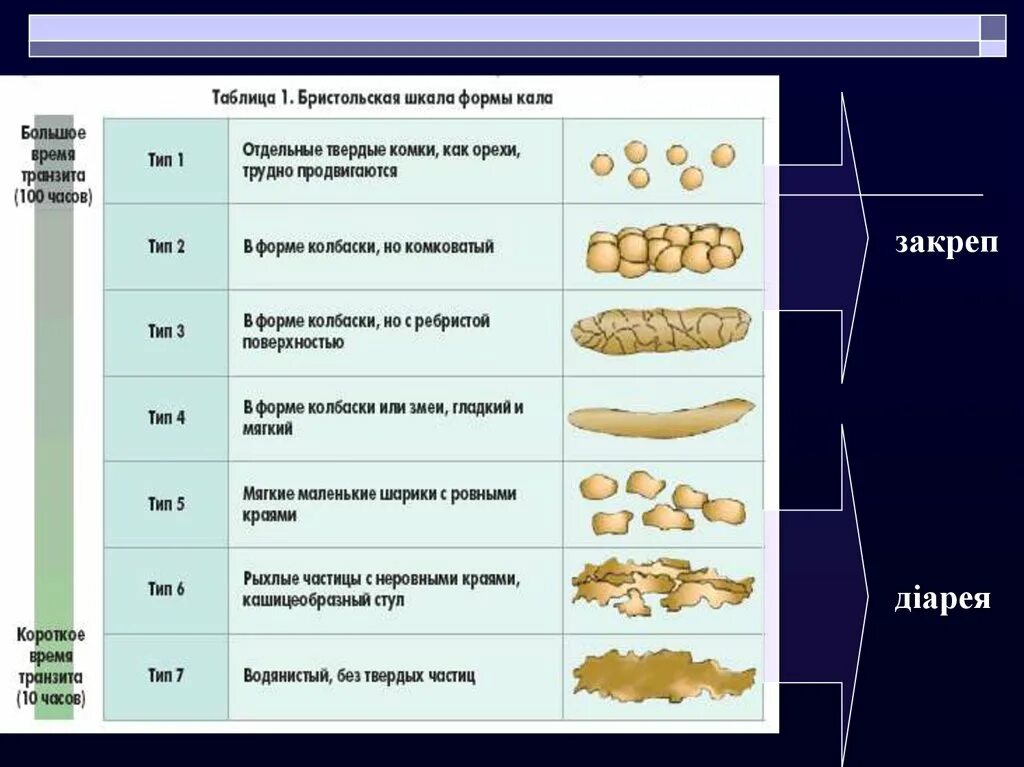 Бристольская шкала кала 6 Тип. 5 Тип кала по Бристольской шкале. Бристольская шкала оценки кала. Бристольская шкала формы стула Тип 2.