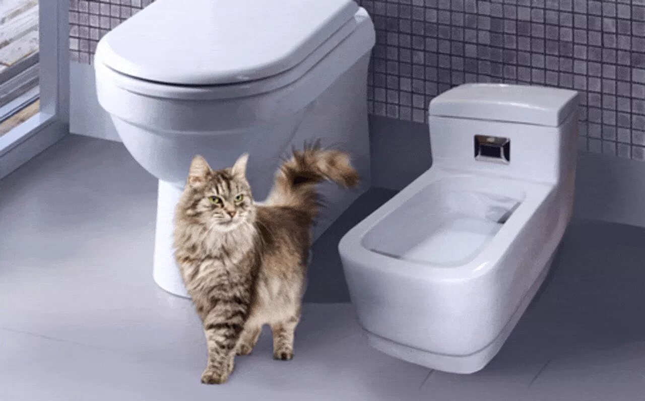 Catgenie 120. Автоматический кошачий туалет catgenie. Автоматический кошачий туалет Kopfgescheit. Кошачий унитаз Kopfgescheit kg7010.