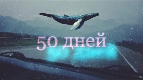По небу плывет кит