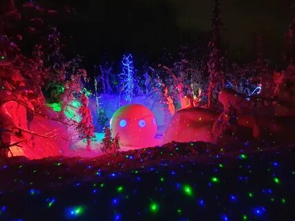 Кировск лес