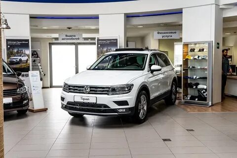 Дилеры тигуана