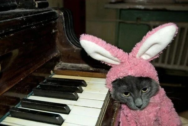 Волк из ну погоди приколы. Шуба игра. Песни зайца приколы. Schnuffel bunny. Клип я зайчик очень непростой.