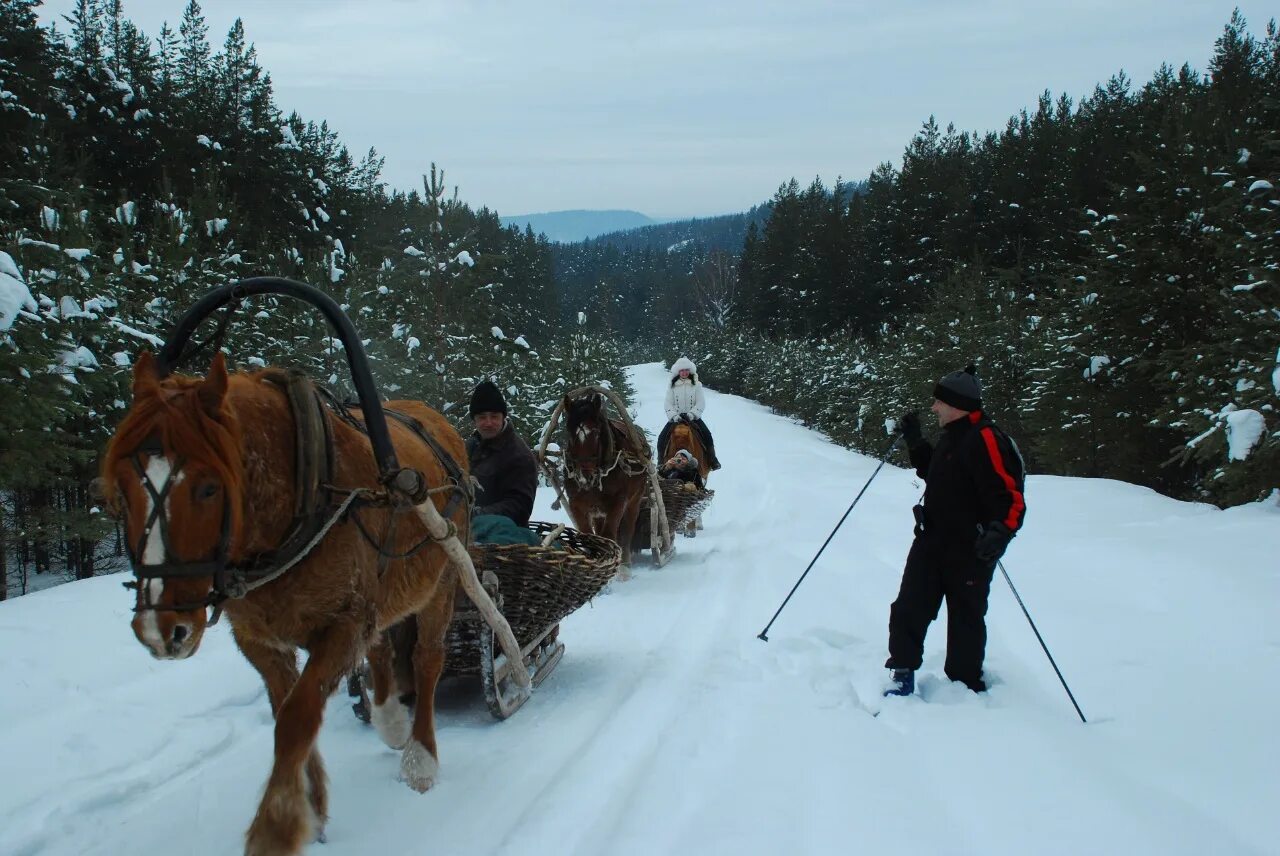 Зимой где сидели. Конный тур зимой. Туризм в Башкирии. Поездка на лошадях зимой. Конный тур по Уралу.