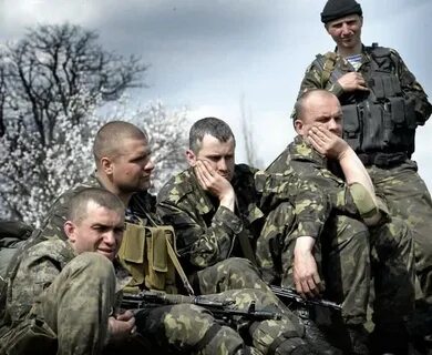 Плен 2014