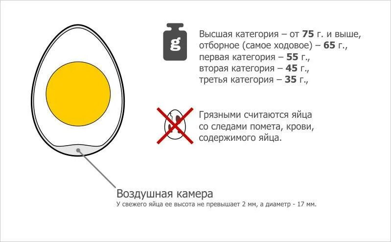 Определить свежесть яиц. Как проверить срок годности яиц. Проверка яиц на годность. Как определить яйцо. Проверить свежесть перепелиных